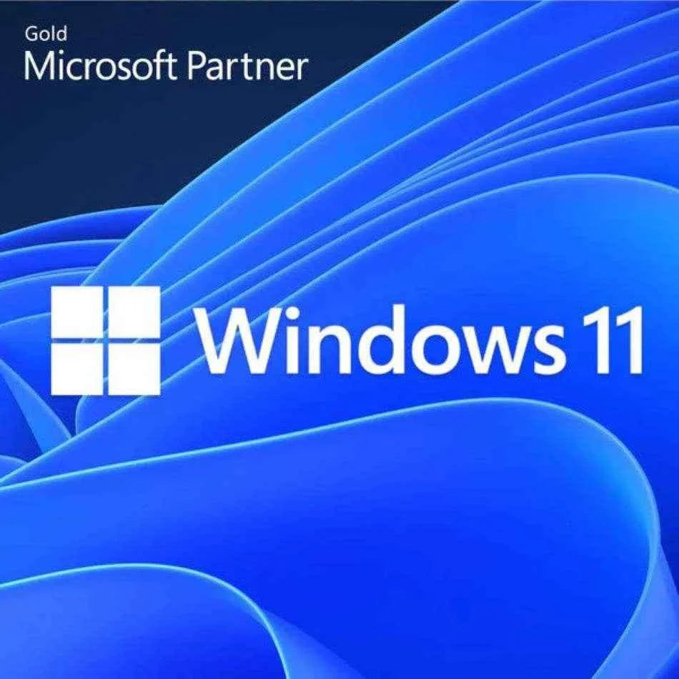 Microsoft Windows 11 Enterprise LTSC 2024 Software